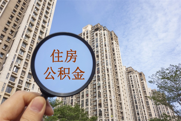 宜城陕西公积金代办（陕西公积金代办服务）